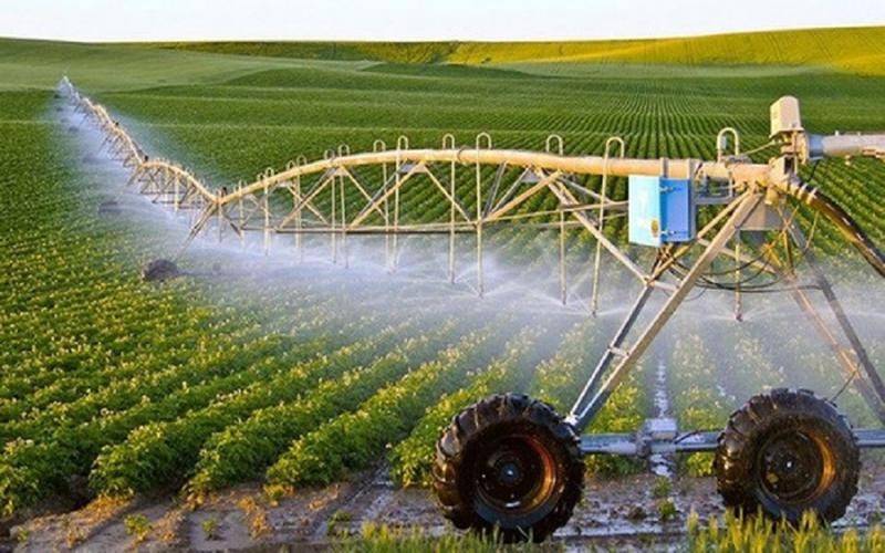 Phân tích 5 Xu hướng khởi nghiệp nông thôn: Cơ hội và tiềm năng phát triển bền vững