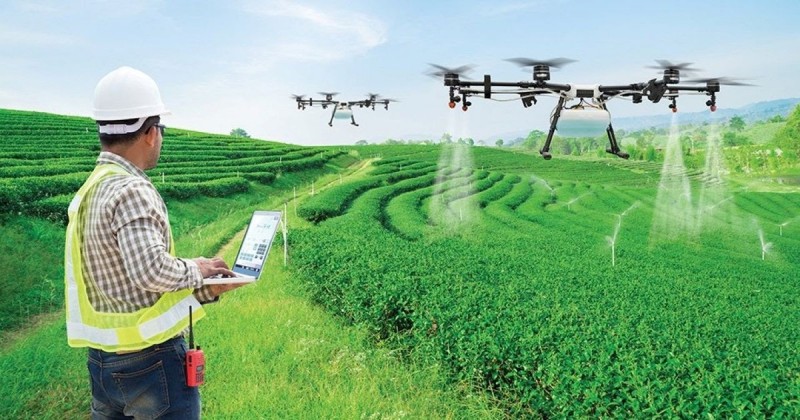 Phân tích 5 Xu hướng khởi nghiệp nông thôn: Cơ hội và tiềm năng phát triển bền vững