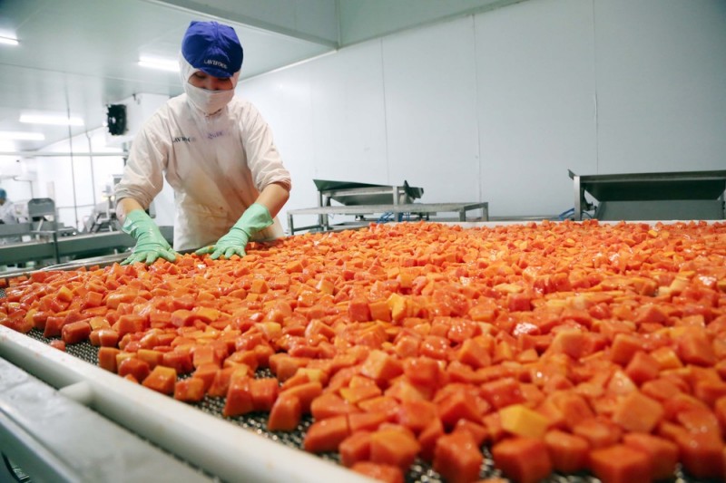 Cơ hội khởi nghiệp F&B tại nông thôn: Nắm bắt nhu cầu và xu hướng mới