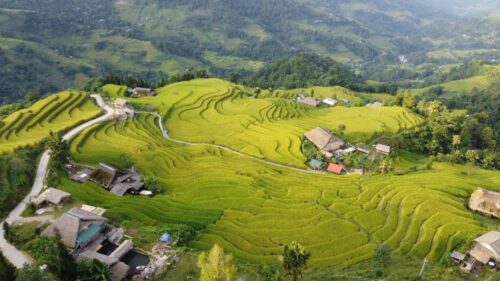 Các quán ăn nổi tiếng thưởng thức cháo ấu tẩu Hà Giang