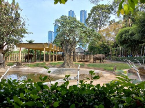 Giá Vé Thảo Cầm Viên Sài Gòn Cập Nhật 2026